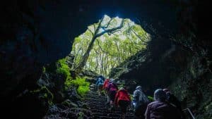 Als wir am Ende der Tour wieder in die Stein gehauene Treppe nach oben steigen und das Blätterdach über unseren Köpfen bewundern, fühlt es sich an, als kämen wir aus einer ganz anderen Welt wieder in die unsere zurück. Einfach magisch.