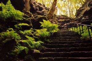Die Gruta das Torres ist mit einer Gesamtlänge von 5150 Metern die längste Lavahöhle Portugals!