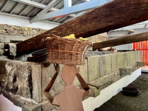 Gepresst wurde der Wein in riesigen Steintrögen.